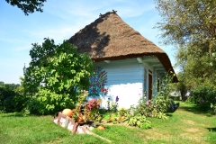 small_wm_DSC_9054