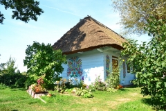 small_wm_DSC_9076