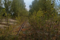 HPIM0844