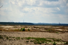 small_wm_DSC_8255