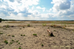 small_wm_DSC_8256
