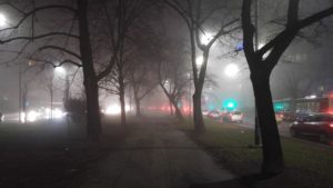 Smog wawelski